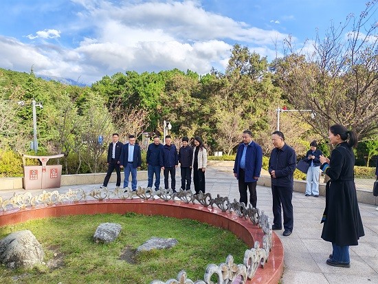 1761727607124403.jpg 6.jpg